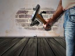 home improvement expert