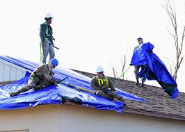 roof professionals