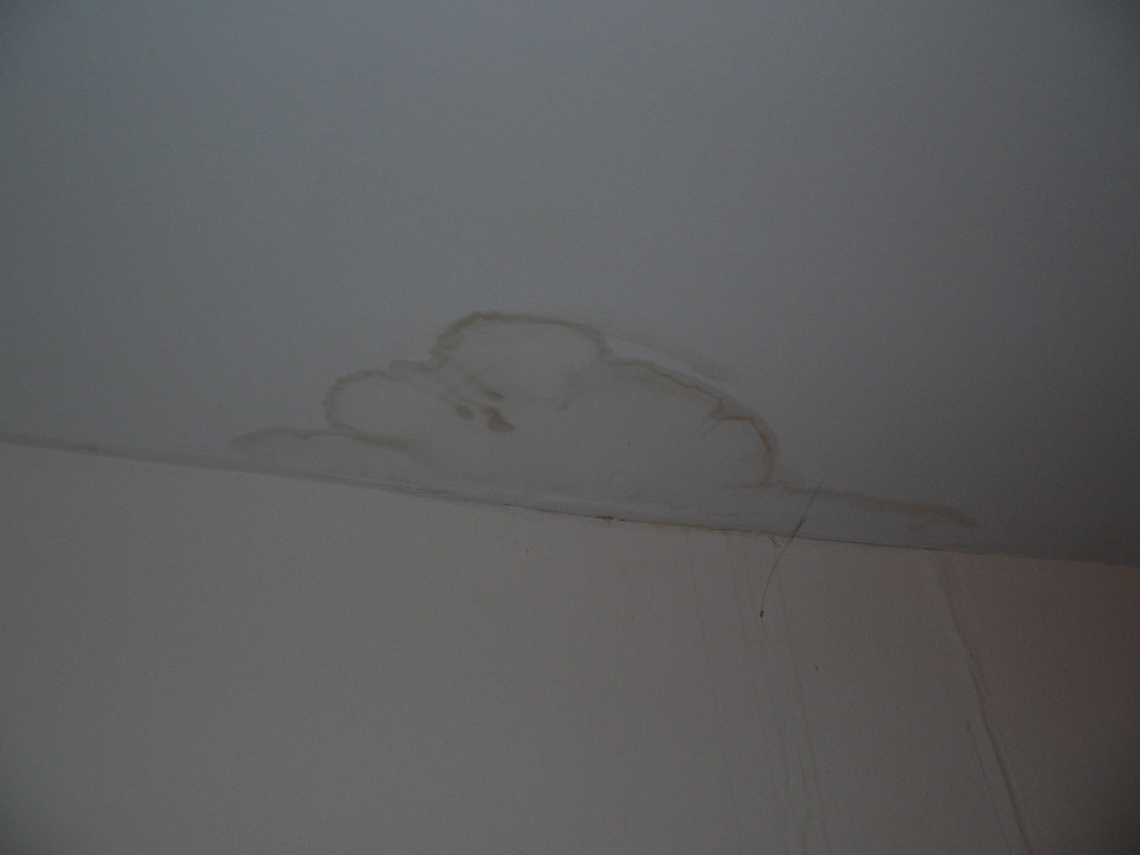 damaged roof