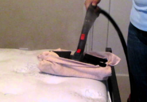 bed bug steaming
